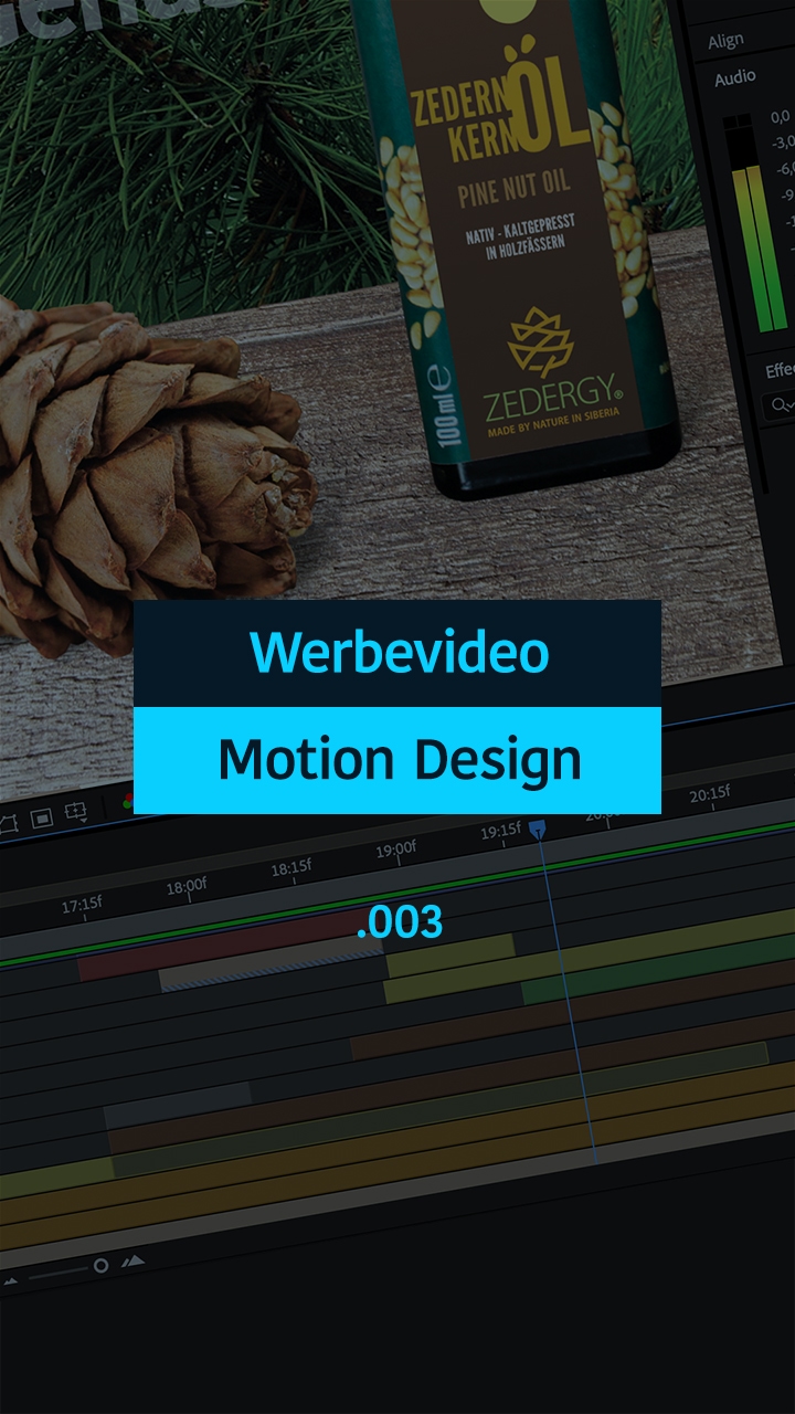 Motion Design: Werbevideo 003